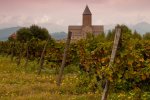 680-alaverdi-monastery-vineyard-georgia.jpg